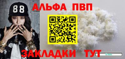 молекула духа Берёзовский