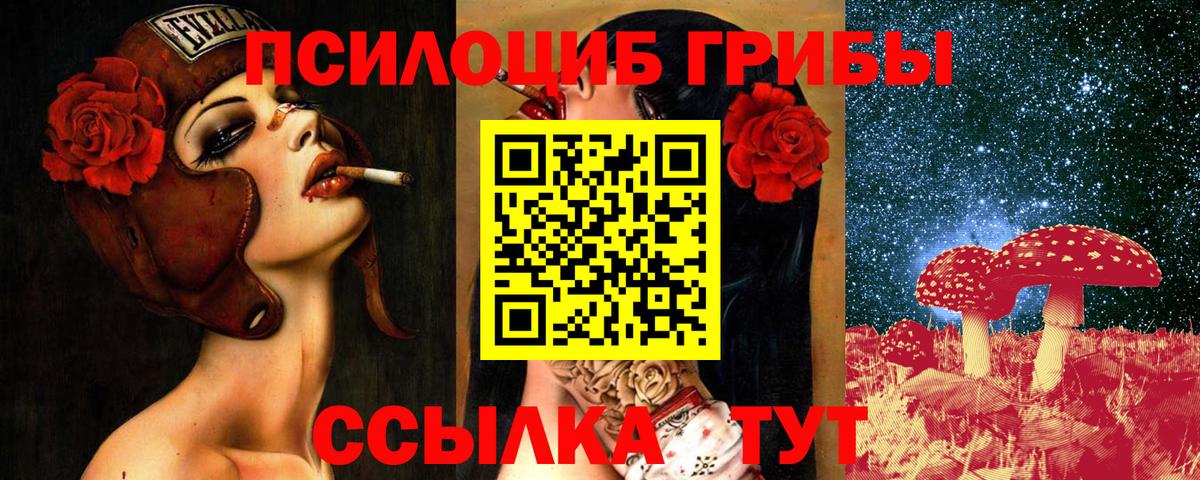 Красноярск  Галлюциногенные грибы GOLDEN TEACHER  Псилоцибиновые грибы Psilocybe  Вход с VPN 
